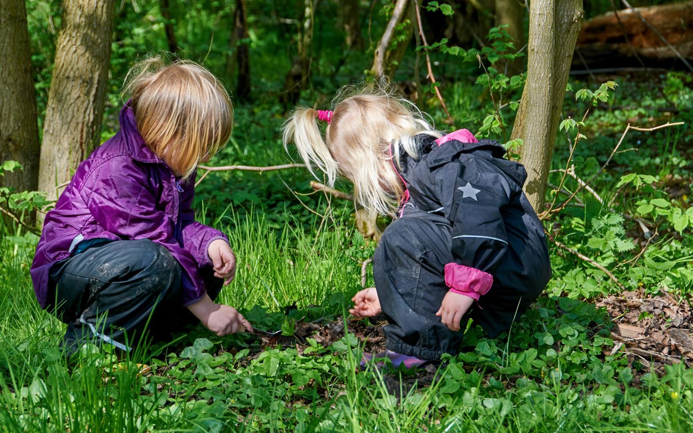 To børn på smådyrsjagt i skoven