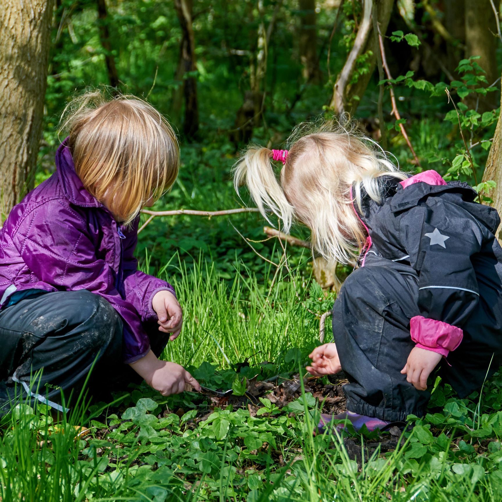 To børn på smådyrsjagt i skoven