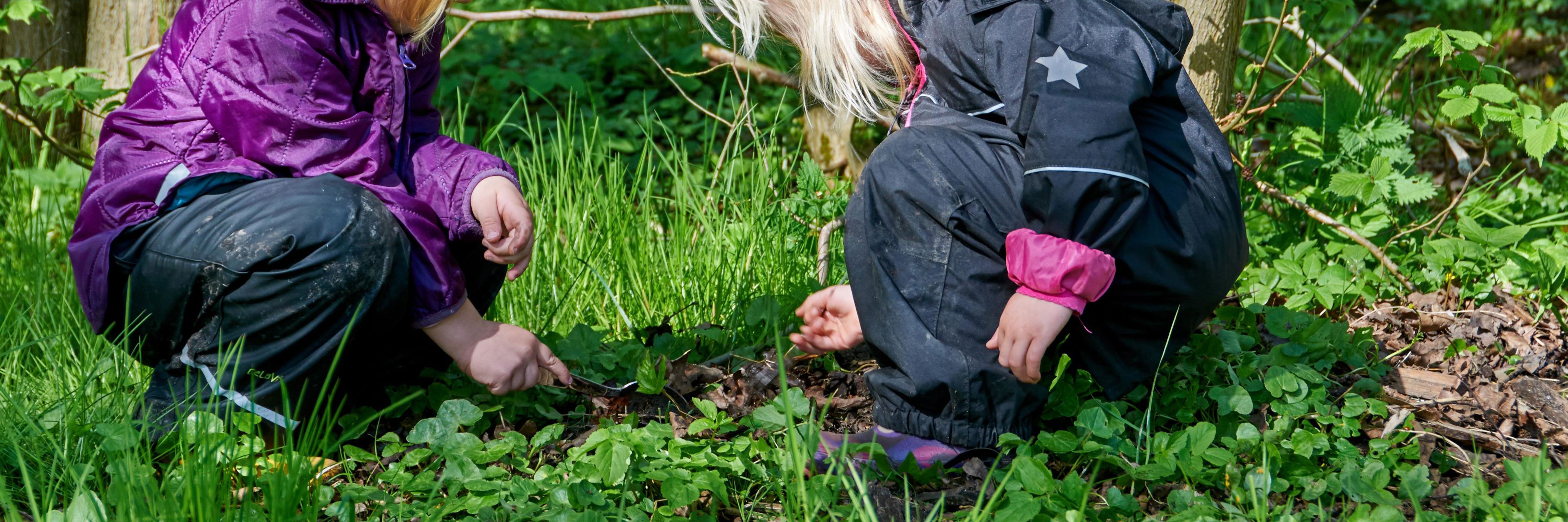 To børn på smådyrsjagt i skoven