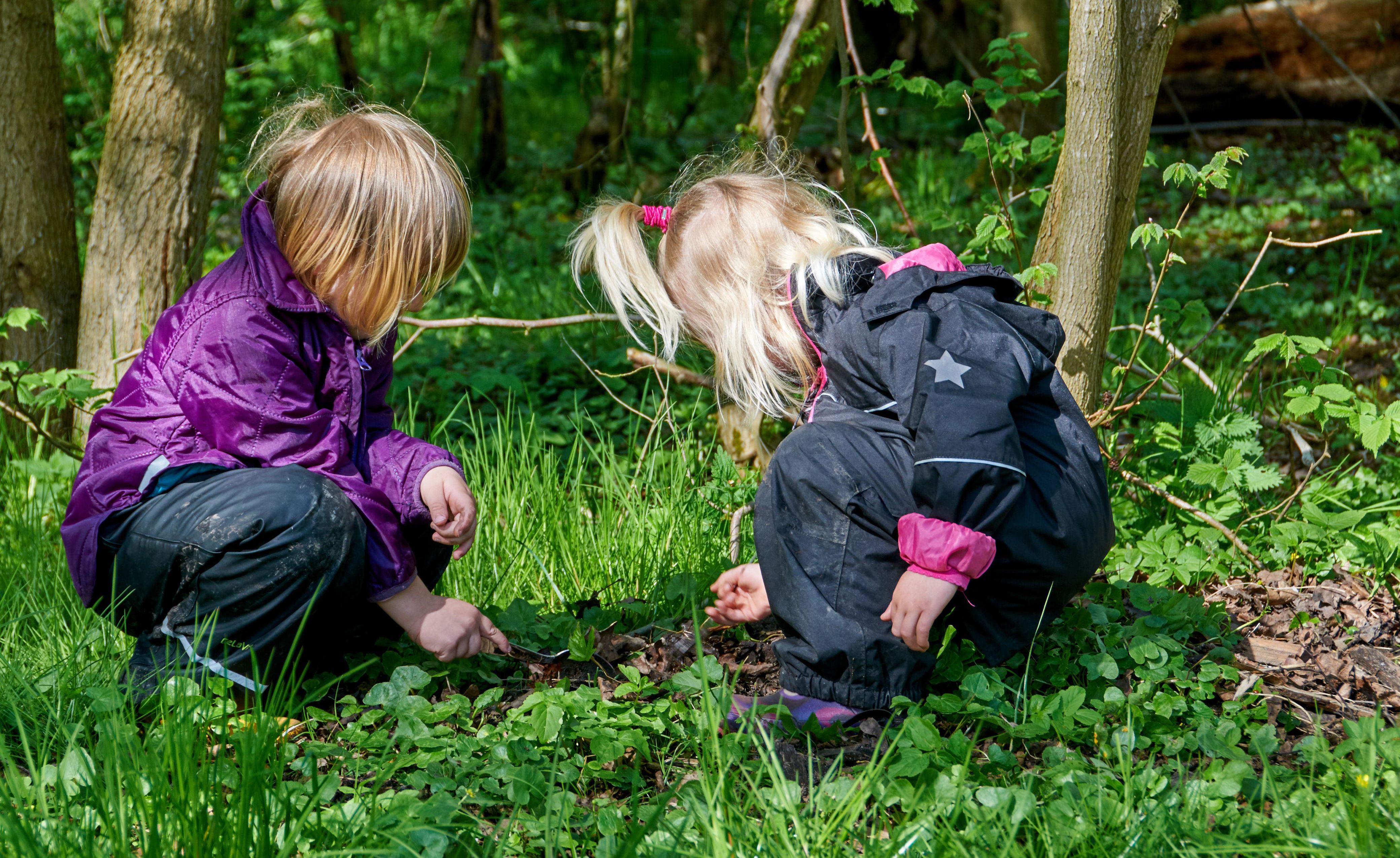To børn på smådyrsjagt i skoven