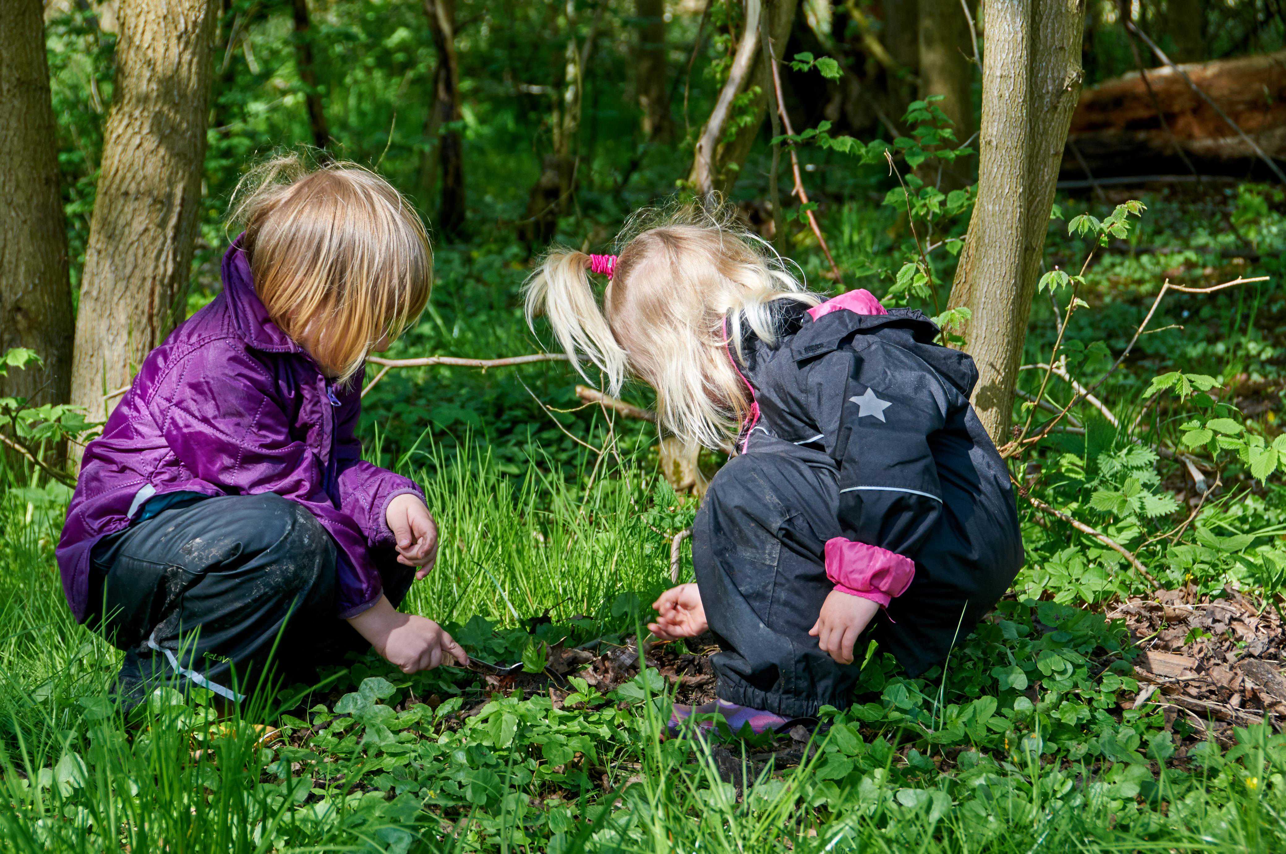 To børn på smådyrsjagt i skoven