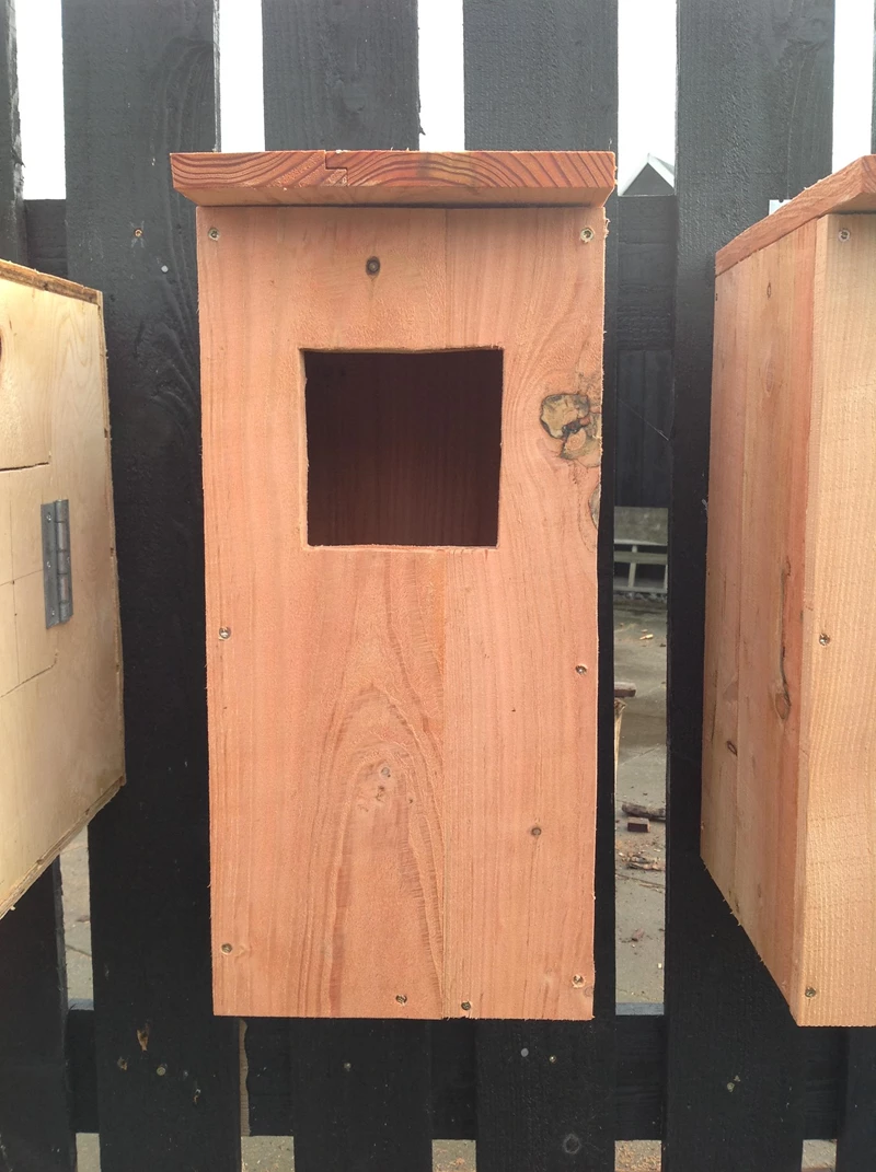 Kasse til høgeugle, lille skallesluger eller hvinand