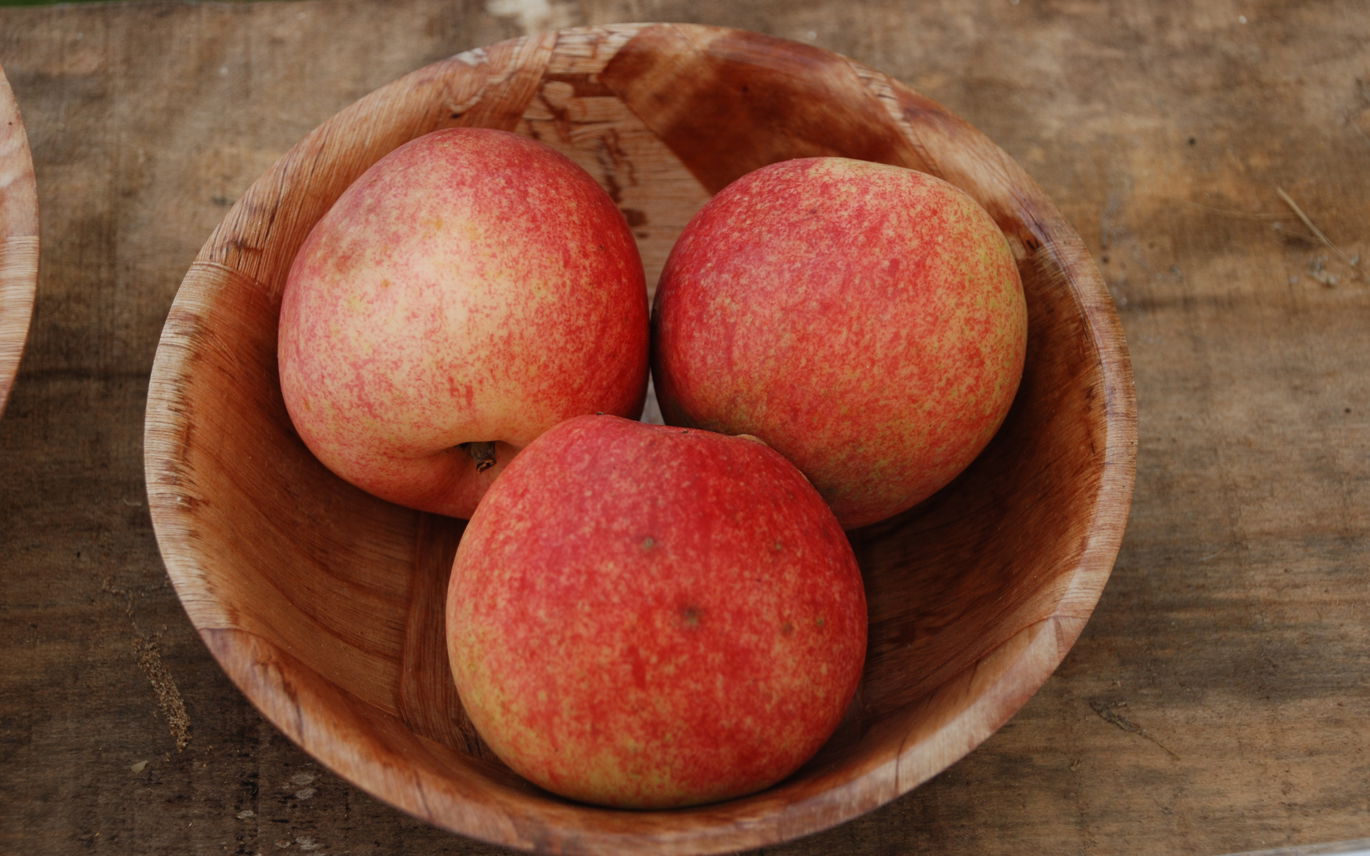 Ringkloster Kammerjunker Æble