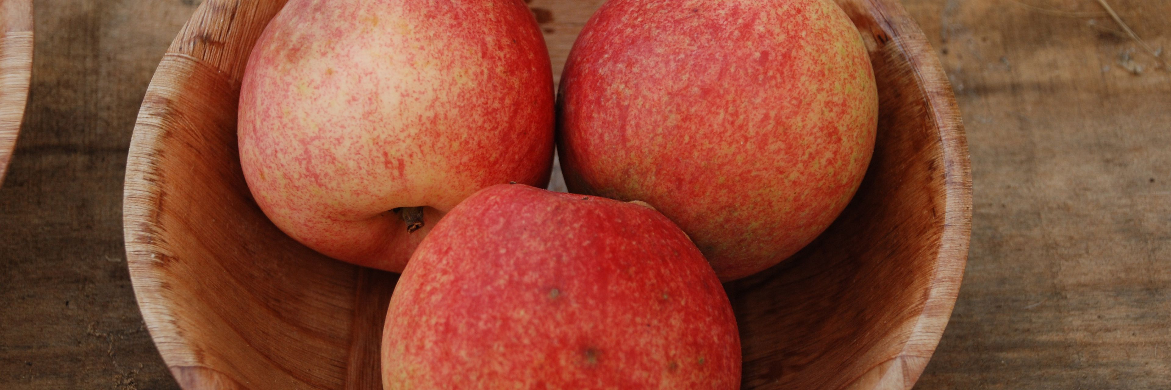 Ringkloster Kammerjunker Æble