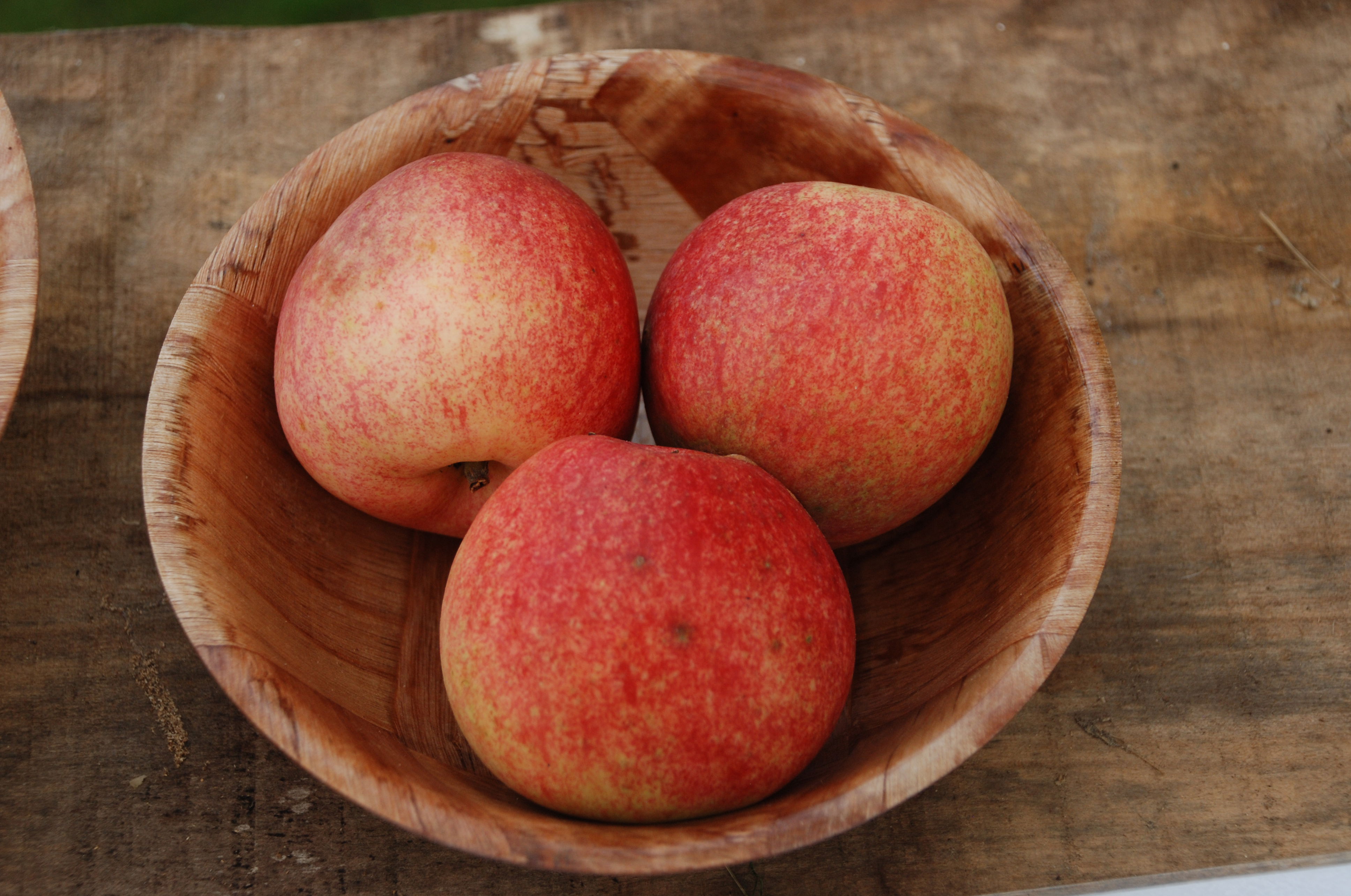 Ringkloster Kammerjunker Æble