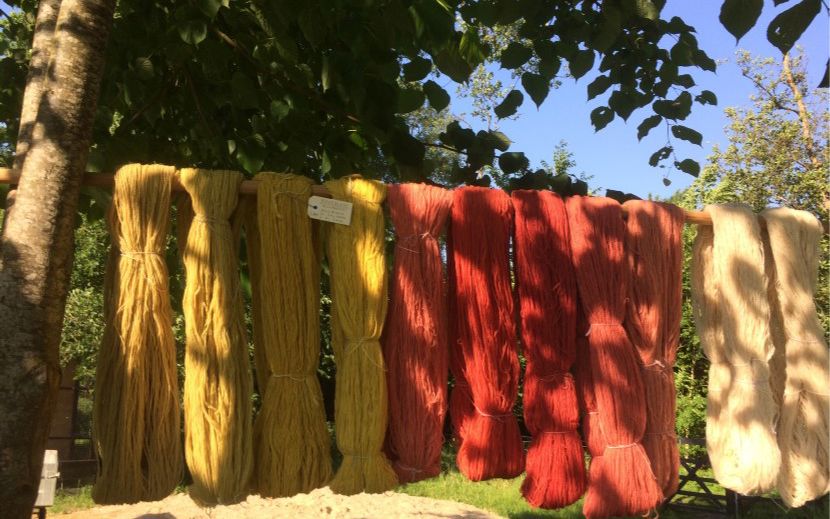 Farvet garn hænger til tørre