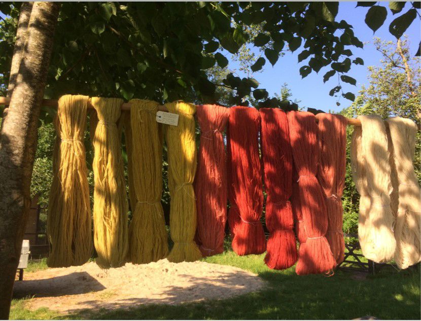 Farvet garn hænger til tørre